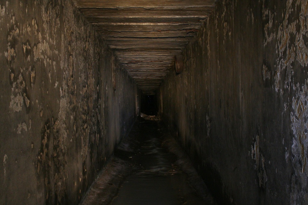 0_9c8d9_1bcc4ed_orig