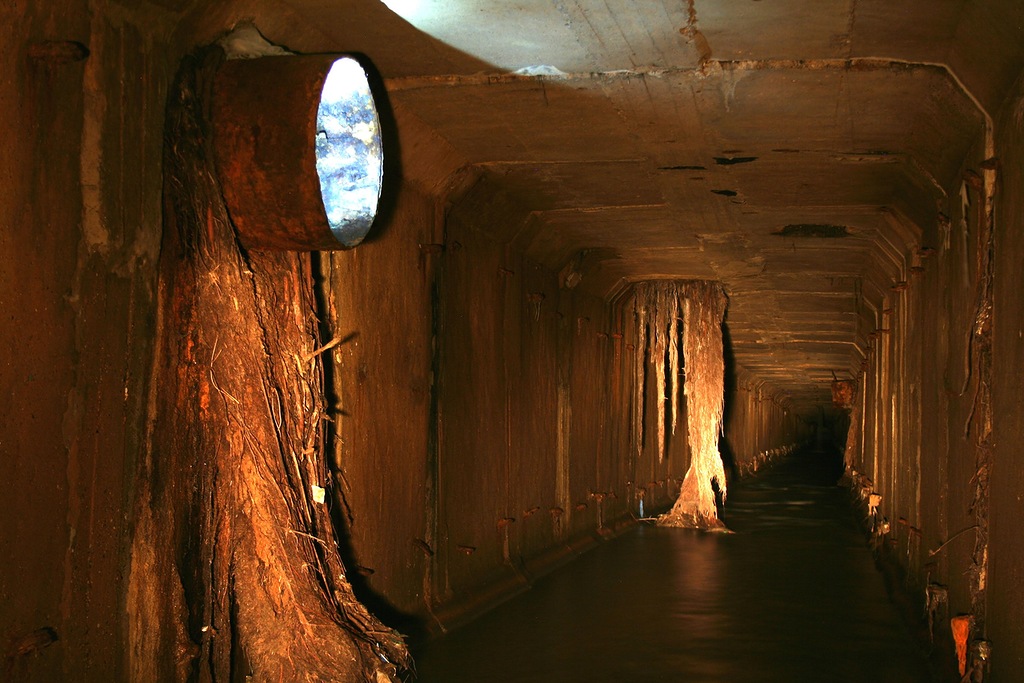 0_a33d6_4ad6364c_orig