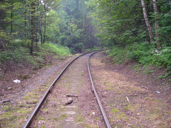 i-19.jpg