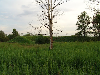 DSC09144.JPG
