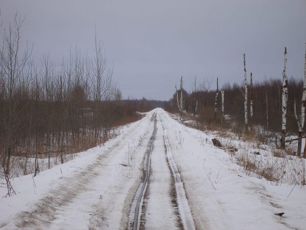 i-13324.jpg