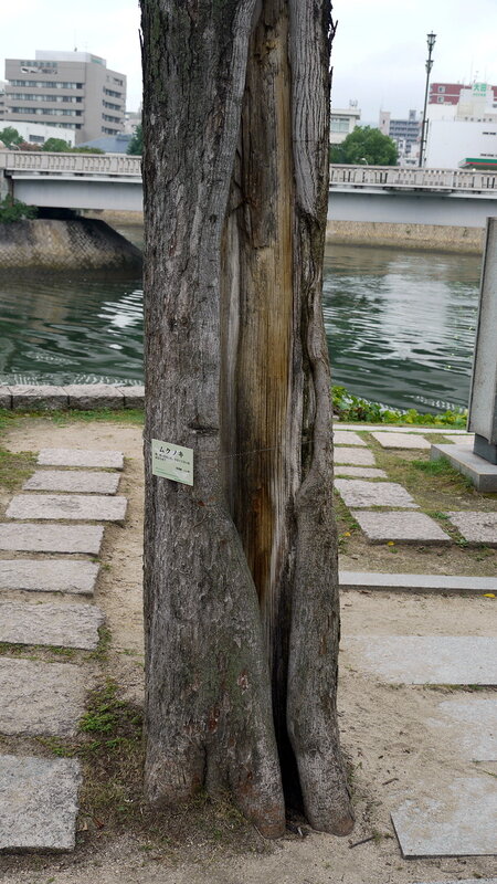 0_1f6f5_c252eeb_XL.jpg