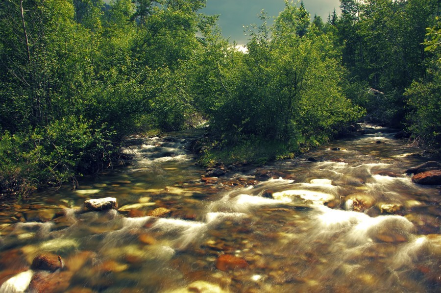 s-18206.jpg