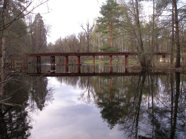i-14093.jpg