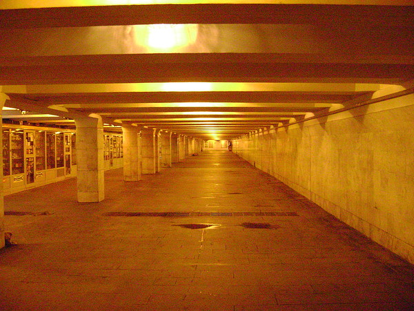 i-3154.jpg