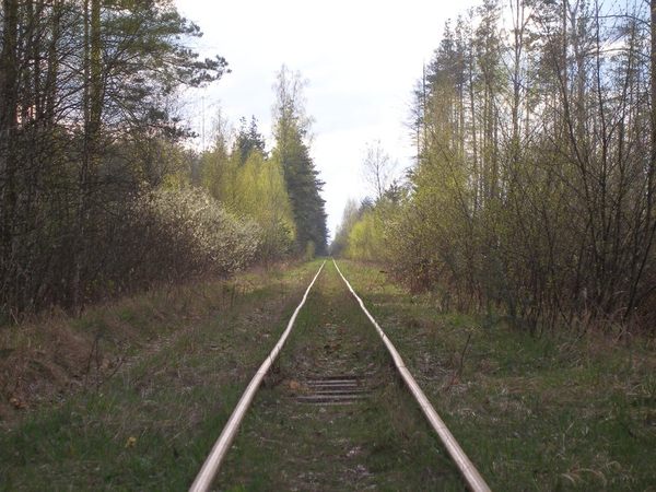 i-14086.jpg