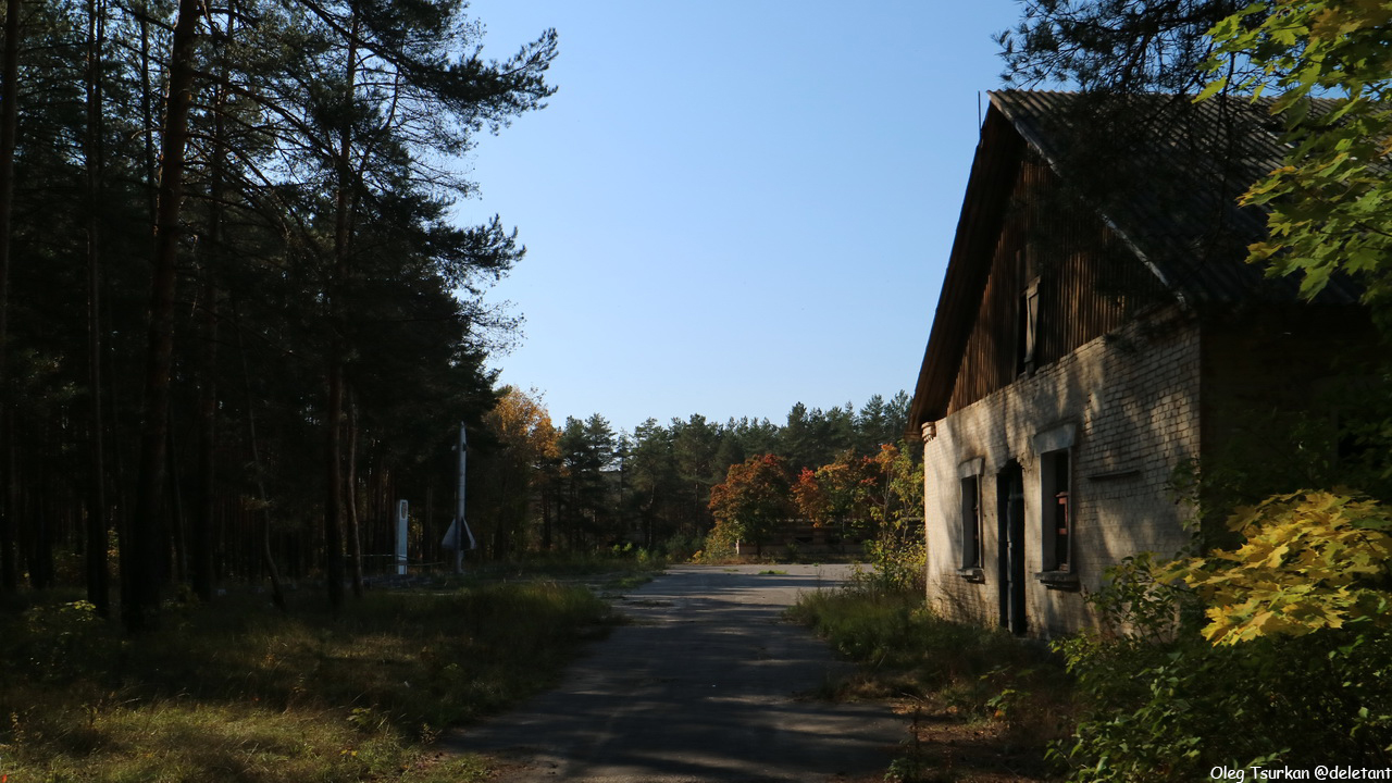 77577836Whv.jpg